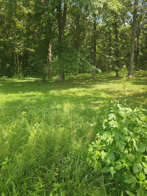 Picture 11