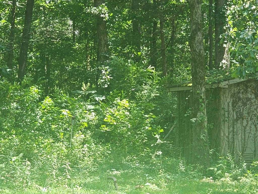 Land in Huntingdon, Tennessee