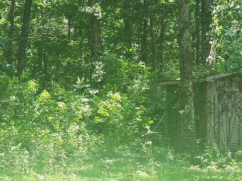 Land in Huntingdon, Tennessee