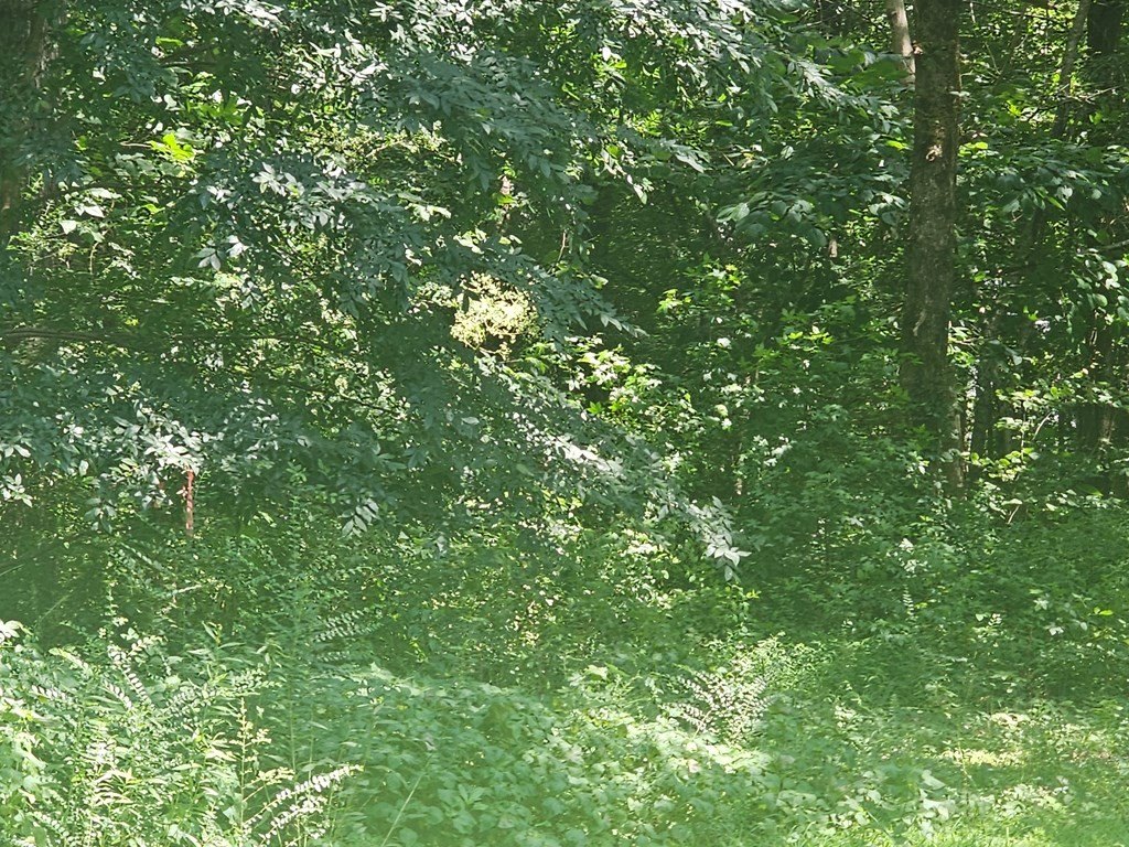 Picture 3