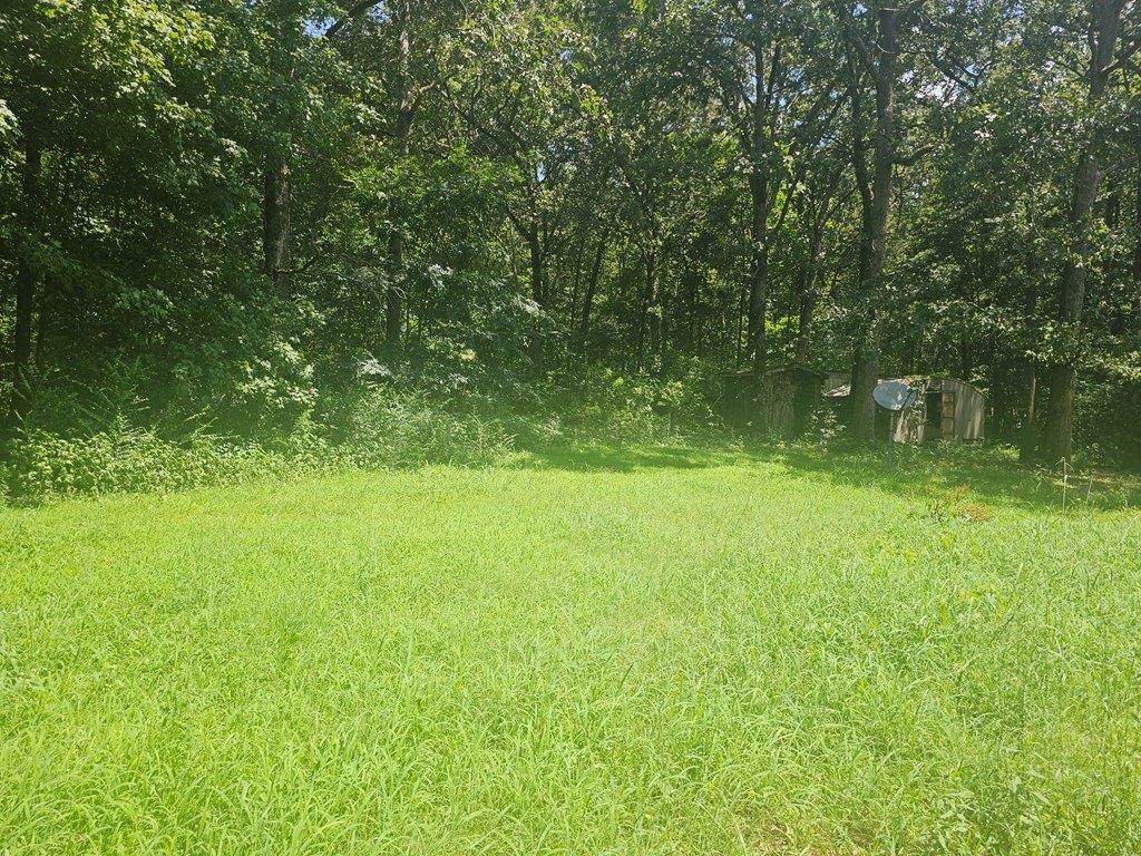 Picture 6