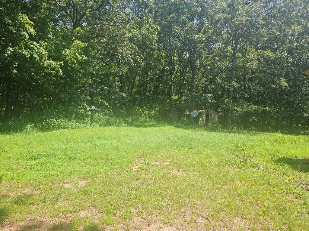 Picture 5