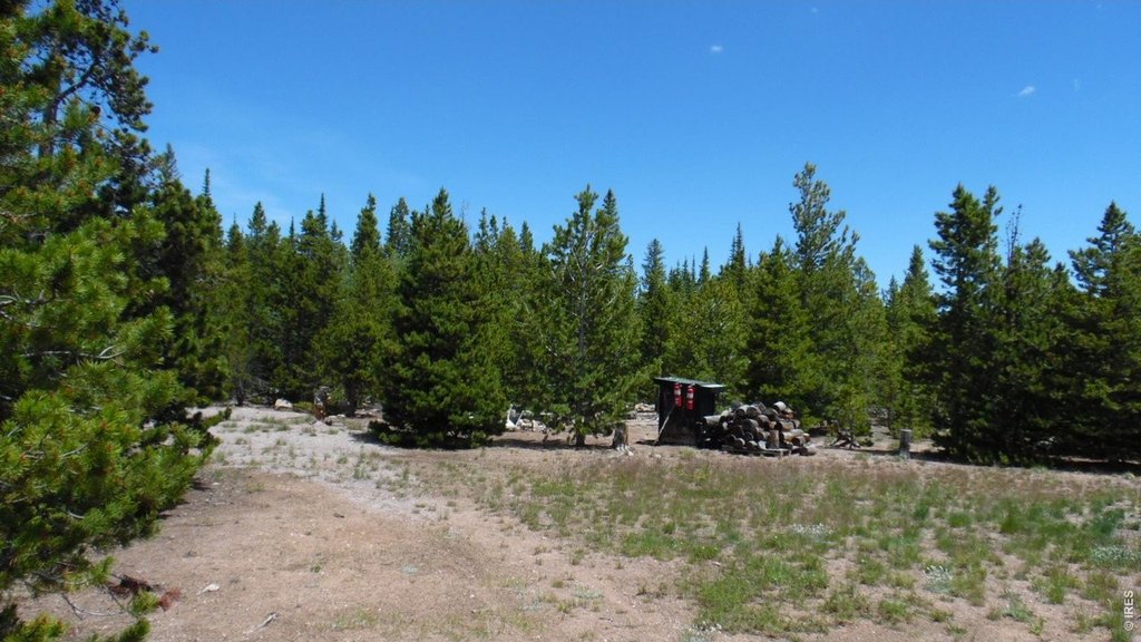 Picture 7