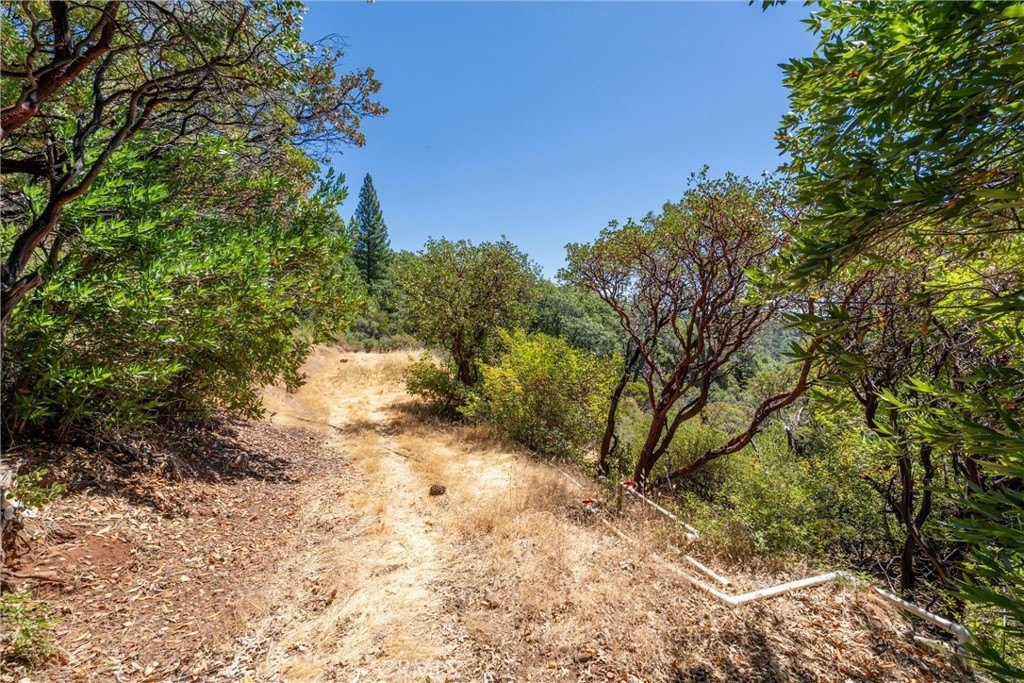 Picture 42