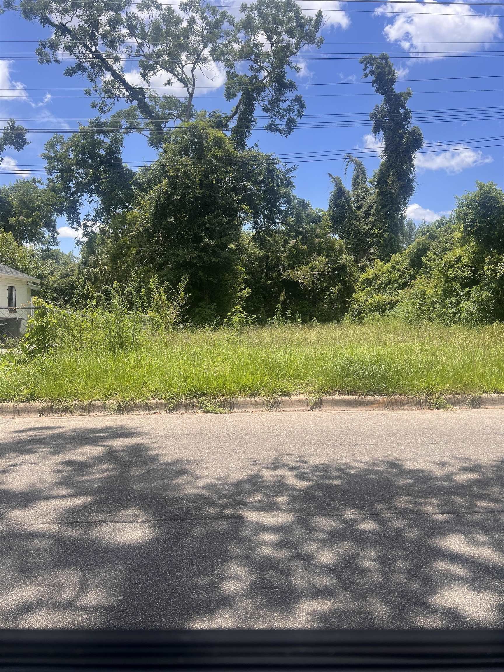 Tallahassee Land Near FAMU
