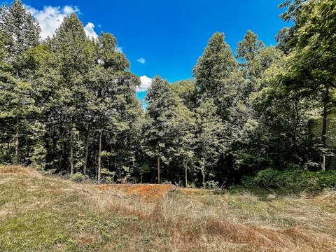 LAND - Gatlinburg, TN