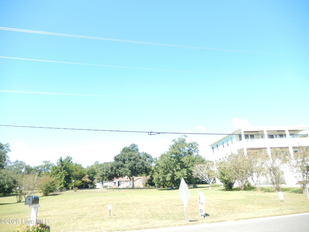 Picture 11