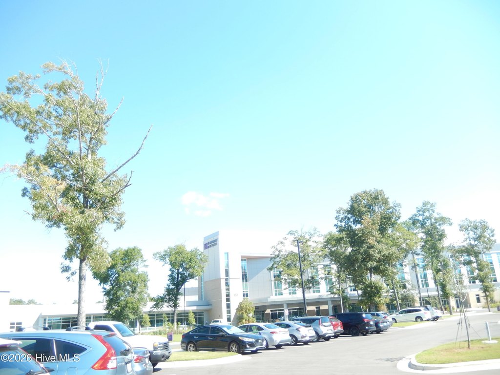 Picture 13