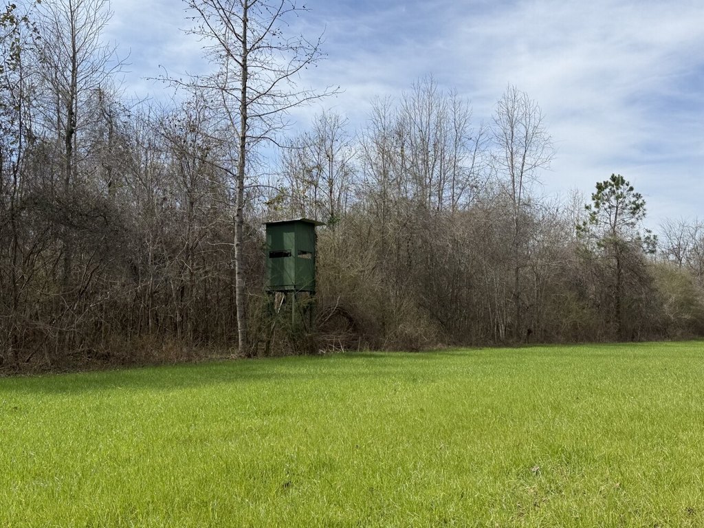 Picture 4