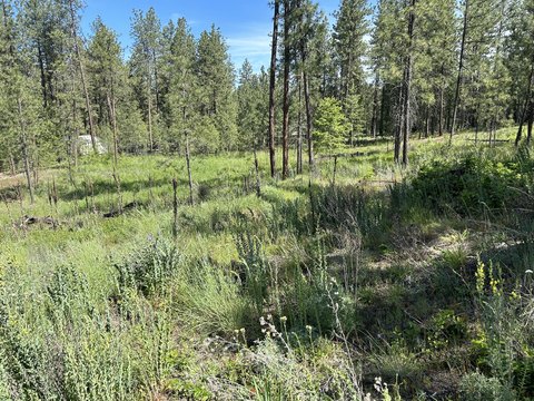 Residential Home Lot Land