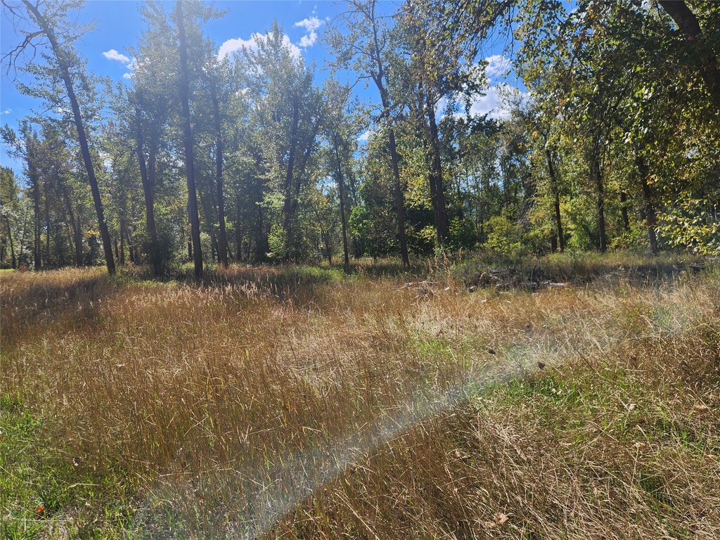 Picture 13