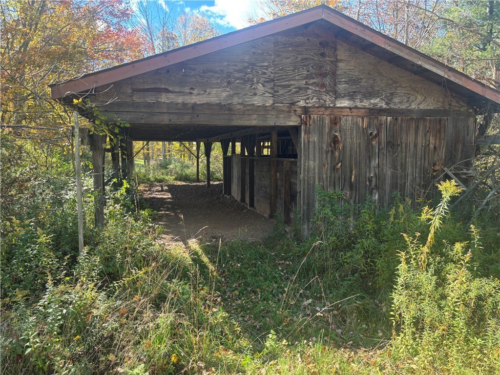 Picture 14