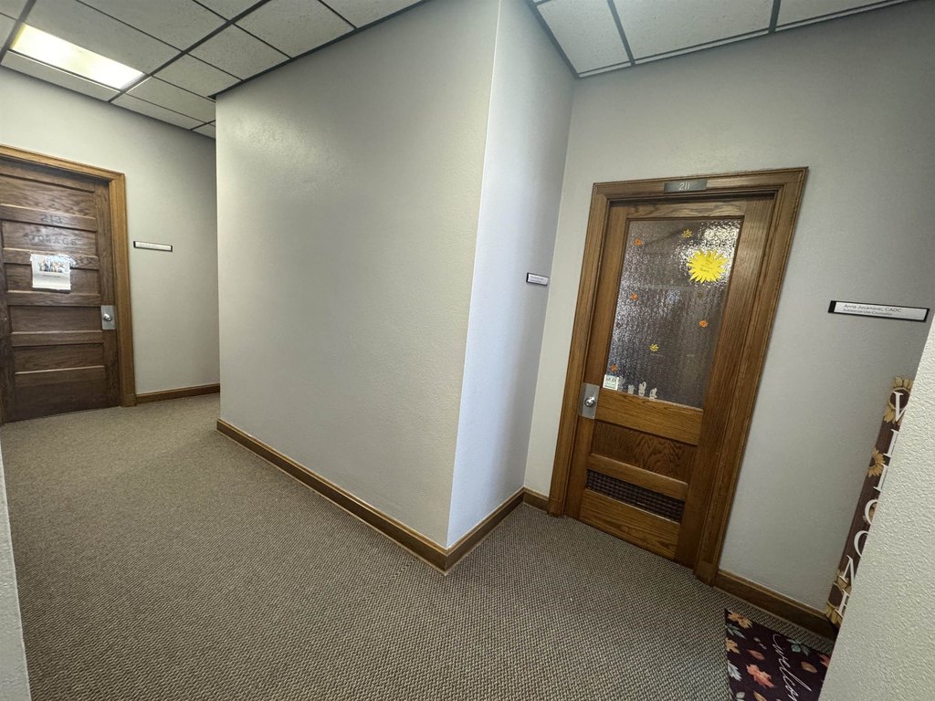 Picture 15