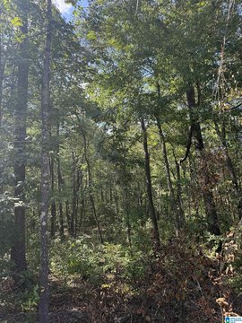 LAND/LOTS, WILSONVILLE, AL