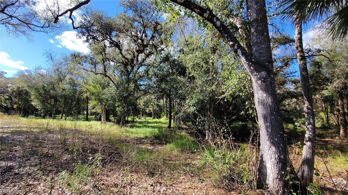 Residential Agriculture Land in Labelle
