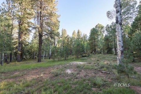 Single Family Lot, Duck Creek Village, UT