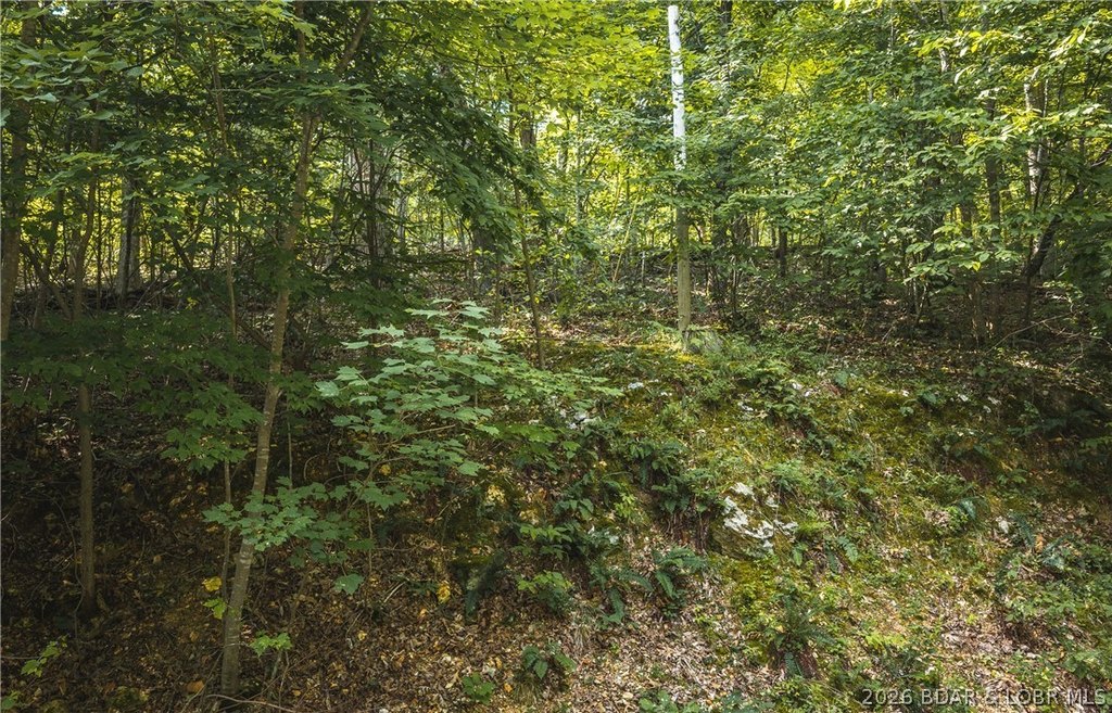 Picture 7