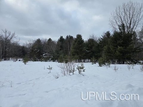 Residential Land in Iron Mountain