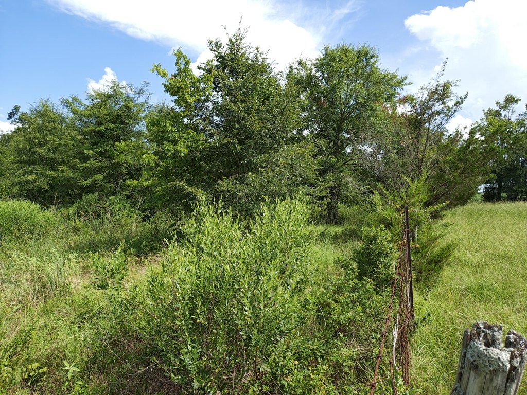 Picture 10