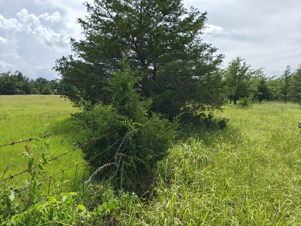 Picture 14