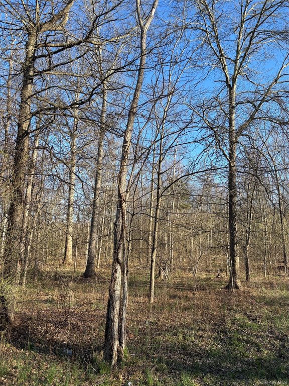 Picture 3