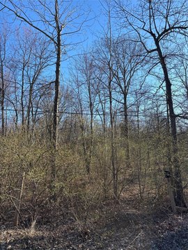 Wooded Land in Gardiner, NY