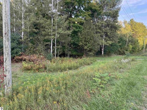 Vacant Lot/Land, Traverse City, MI