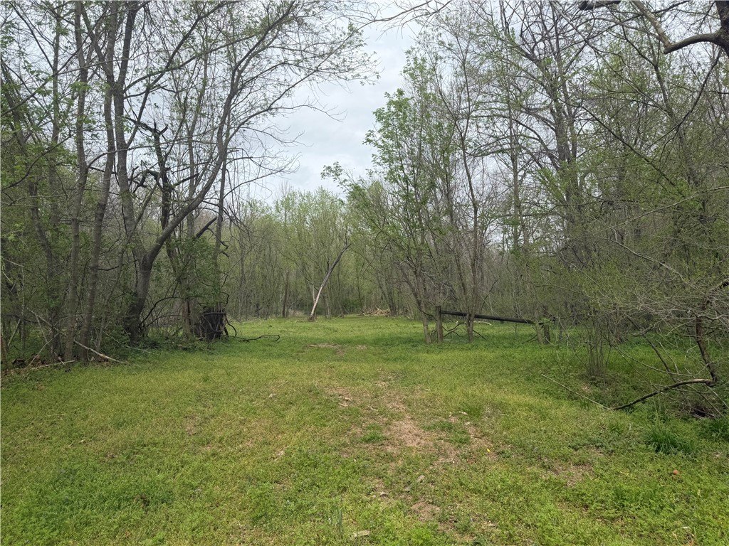 Picture 2