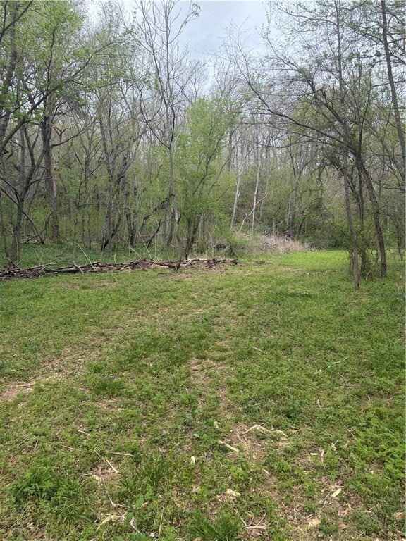 Picture 5