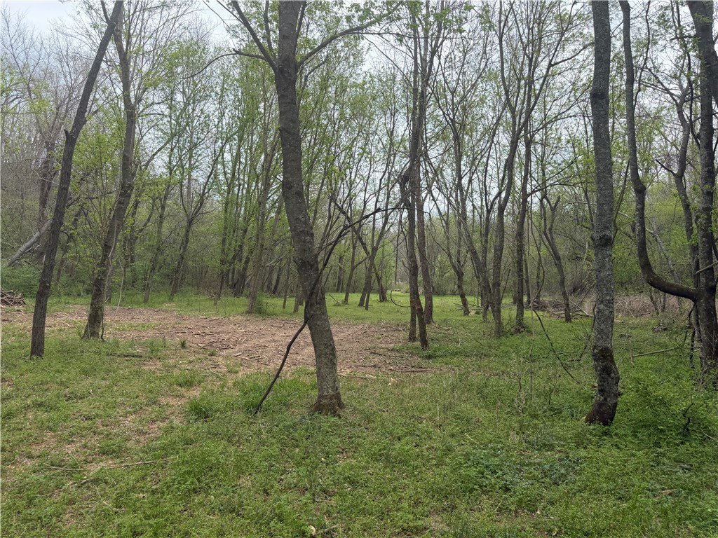 Picture 8
