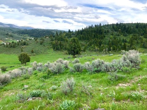 Scenic Canyon View Home Lot