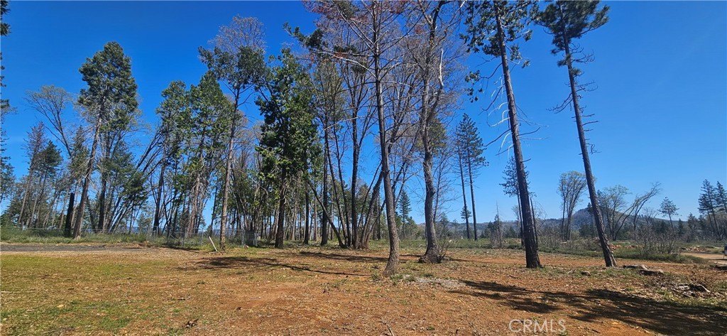 Residential Land in Peaceful Neighborhood