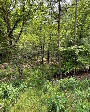 LAND - Broken Bow, OK