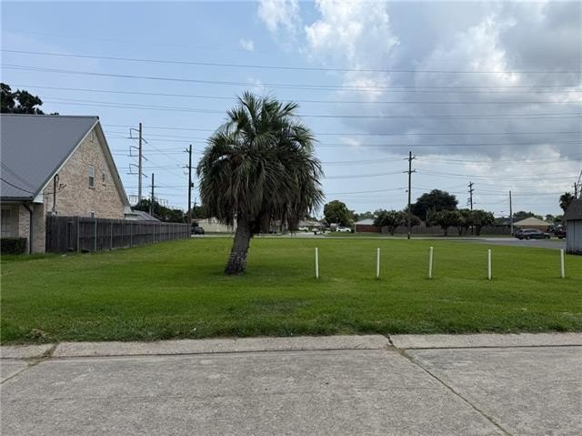 Picture 6