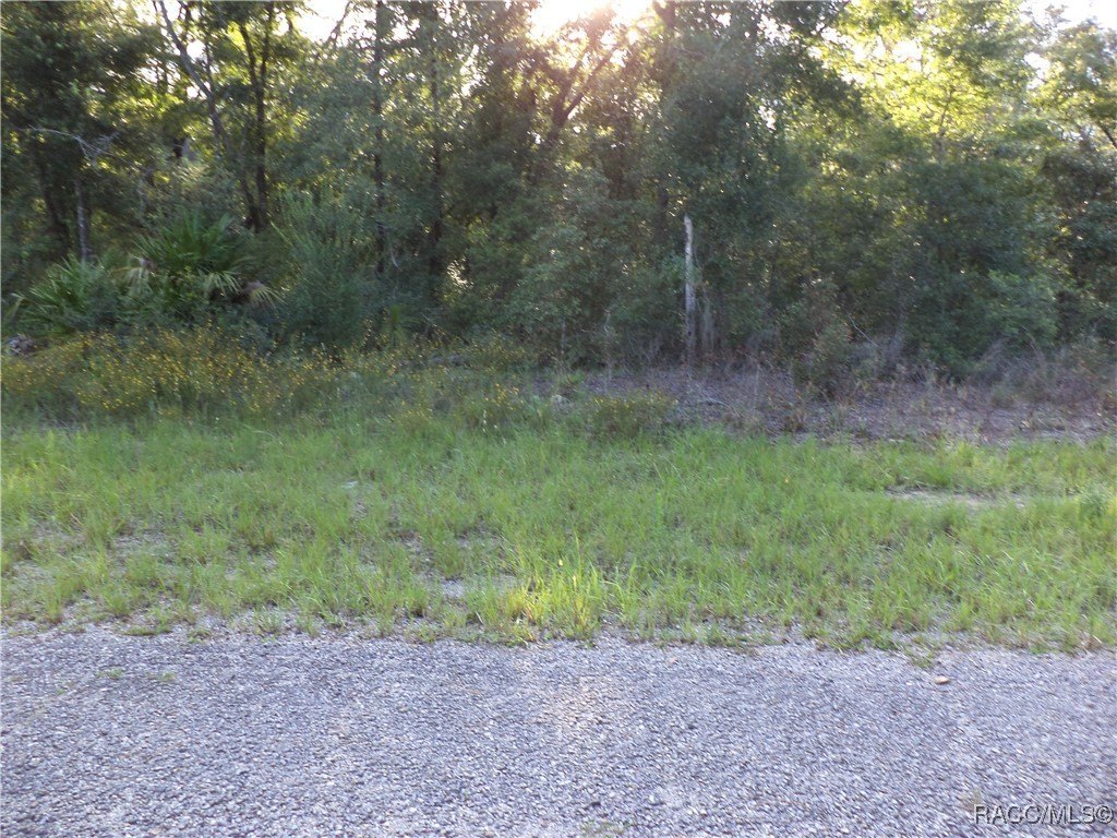 Citrus Springs Land Opportunity