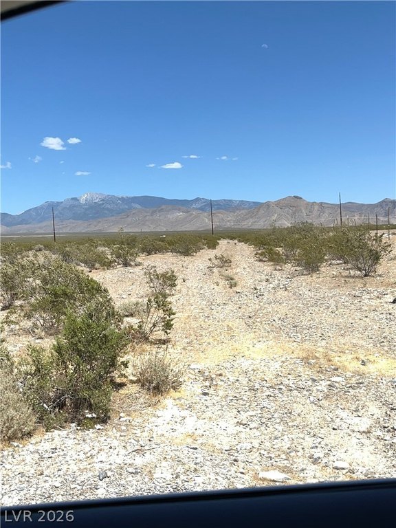 Picture 19