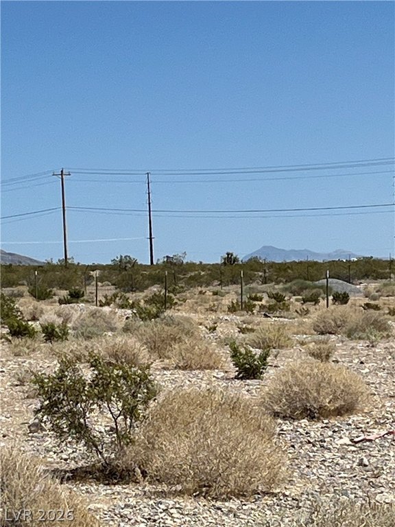 Picture 11