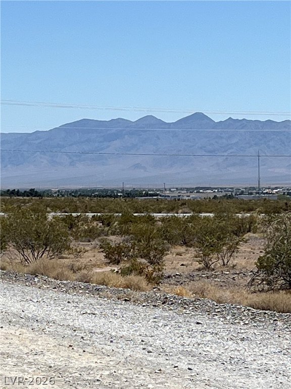 Picture 16