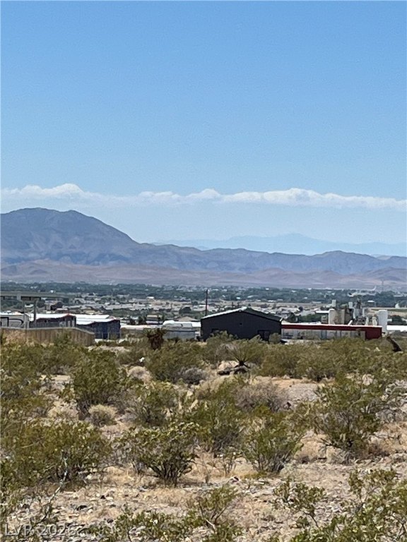 Picture 15