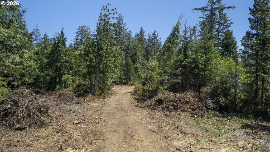 Picture 42