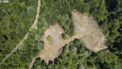 Siltcoos Lake Building Site