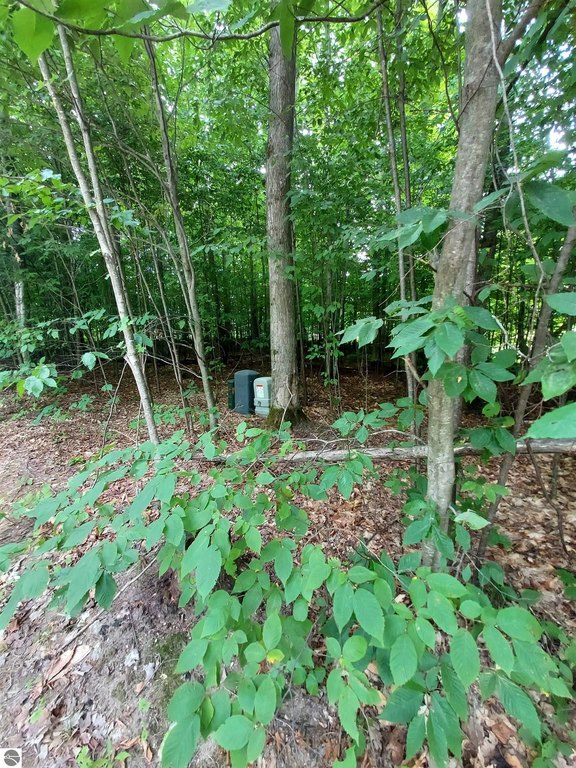 Picture 3