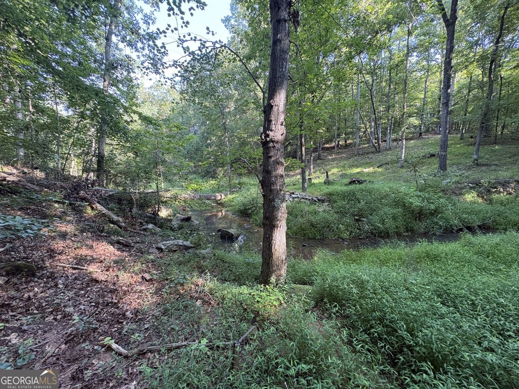 Picture 23