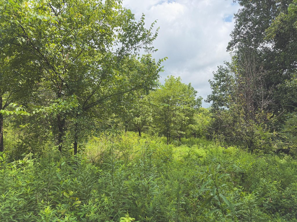 Picture 21