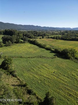 40.6 Acres Pasture and Hay