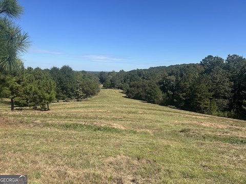 Bowdon, GA Land Parcel