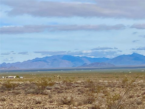 Yucca, AZ 40-Acre Parcel