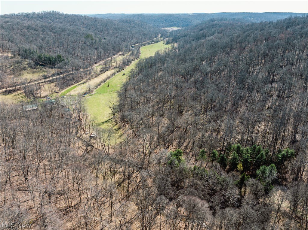 Holmes County Land Auction