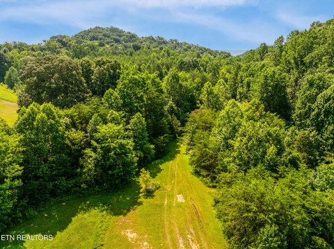 55+ Acres in Blount County