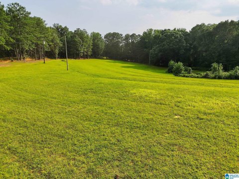 LAND - JEMISON, AL